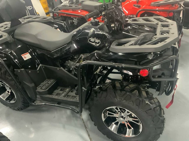 Dw atv 300cc quad - afbeelding 17 van  25
