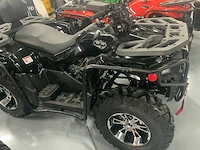 Dw atv 300cc quad - afbeelding 17 van  25