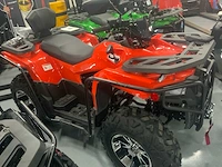 Dw atv 300cc quad - afbeelding 18 van  25
