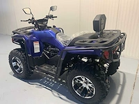 Dw atv 300cc quad - afbeelding 23 van  31