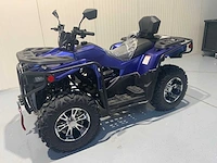 Dw atv 300cc quad - afbeelding 1 van  31