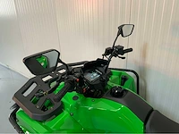 Dw atv 300cc quad - afbeelding 13 van  31