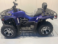 Dw atv 300cc quad - afbeelding 19 van  31