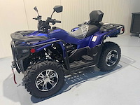 Dw atv 300cc quad - afbeelding 1 van  31