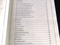 Dwerg papegaaien - afbeelding 3 van  5