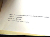 Dwergpapegaaien en loris - afbeelding 2 van  5