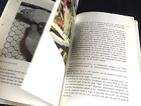 Dwergpapegaaien en loris - afbeelding 3 van  5