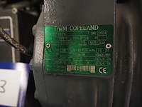 Dwm copeland - afbeelding 4 van  4