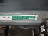 Dwm copeland - afbeelding 13 van  14