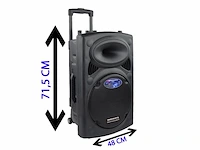 Dynapro 15' (nieuwste generatie) draagbare luidspreker professioneel audiosysteem vermogen 800w usb bluetooth microfoons zwart - afbeelding 1 van  6
