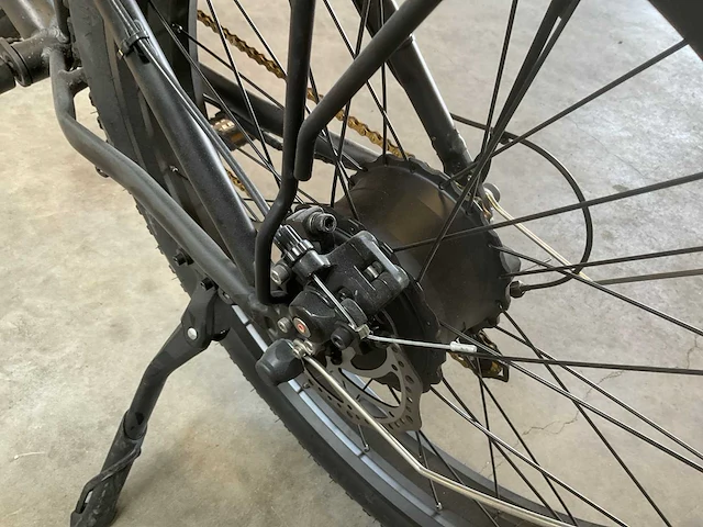 Dyu king 750 ebike - afbeelding 3 van  14