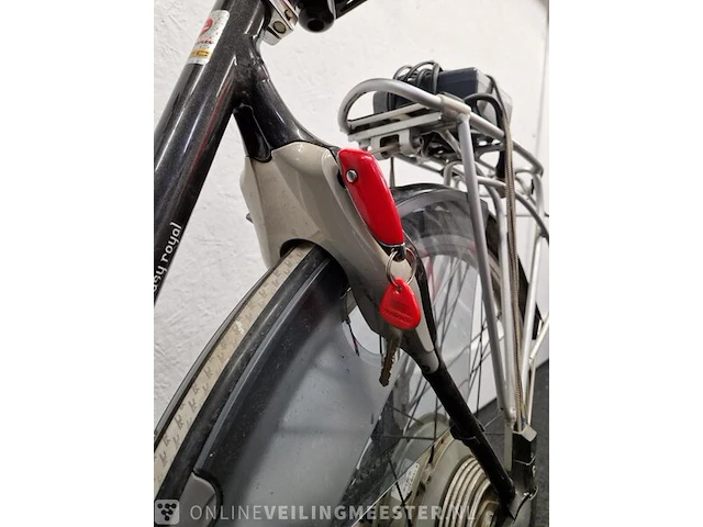 E-bike batavus, antraiet - afbeelding 10 van  10