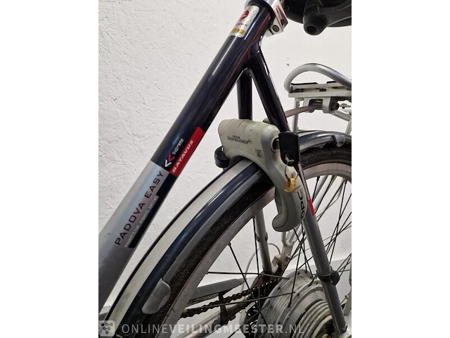 E-bike batavus, zilver-blauw - afbeelding 6 van  8