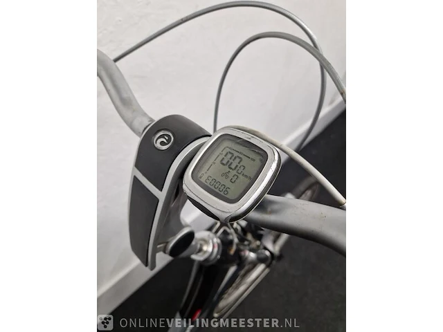 E-bike batavus, zilver-blauw - afbeelding 8 van  8