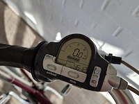E-bike gazelle, rood-zilver - afbeelding 9 van  9