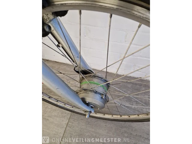 E-bike giant, goud-zilver - afbeelding 5 van  9