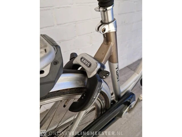 E-bike giant, goud-zilver - afbeelding 9 van  9