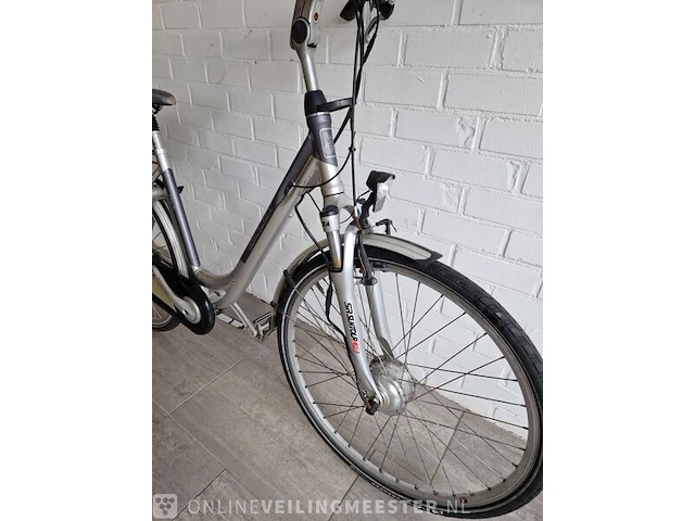 E-bike trenergy, zilver - afbeelding 2 van  7