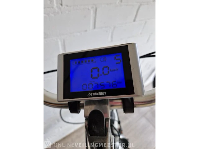 E-bike trenergy, zilver - afbeelding 3 van  7