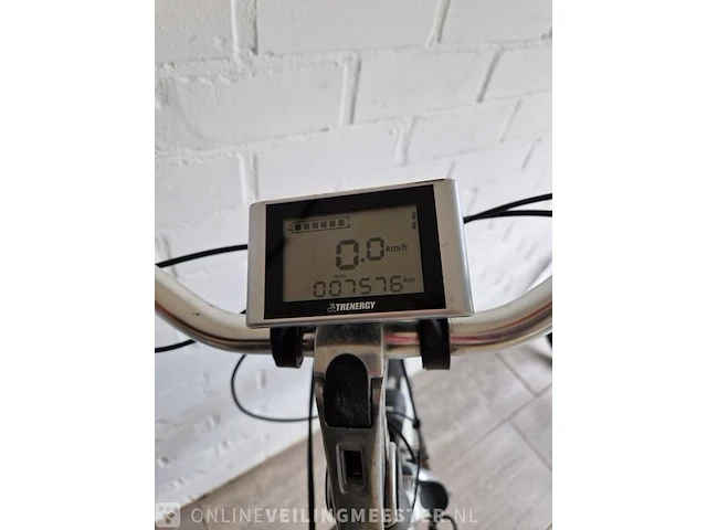 E-bike trenergy, zilver - afbeelding 4 van  7
