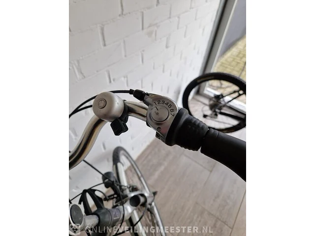 E-bike trenergy, zilver - afbeelding 5 van  7