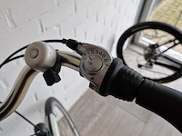E-bike trenergy, zilver - afbeelding 5 van  7