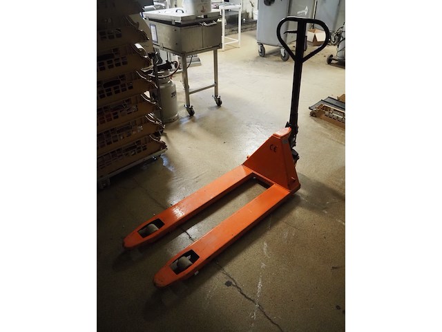 E. jenissen - afbeelding 3 van  7