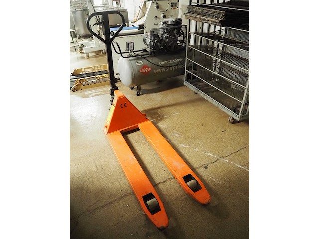 E. jenissen - afbeelding 4 van  7