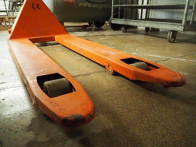 E. jenissen - afbeelding 5 van  7