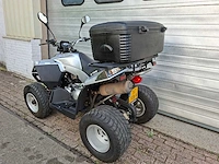 E-ton vector st300 atv 300cc quad - afbeelding 3 van  9