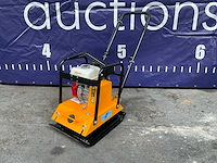 Easy-going - ct120 - trilplaat - 2025 - afbeelding 12 van  16