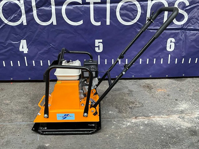 Easy-going - ct120 - trilplaat - 2025 - afbeelding 13 van  16