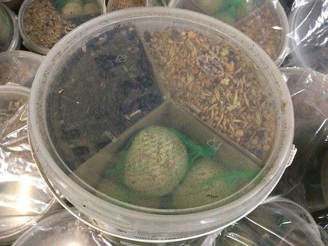 Ed - emmers starters vogelvoer (38x) - afbeelding 4 van  4