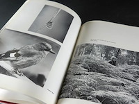 Ede op de veluwe - afbeelding 4 van  5