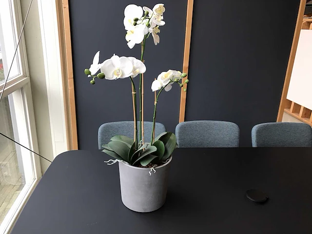 Eetkamertafel met stoelen - afbeelding 2 van  12