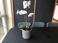 Eetkamertafel met stoelen - afbeelding 2 van  12