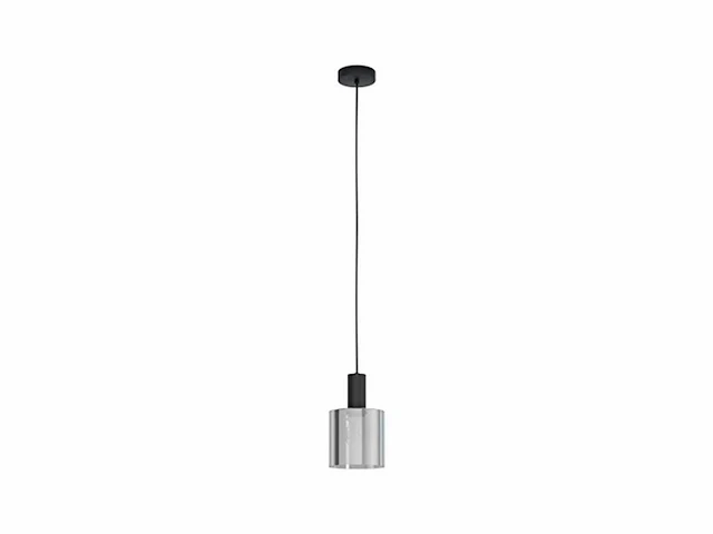 Eglo gorosiba hanglamp e27 15 cm rookglas zwart - afbeelding 1 van  5