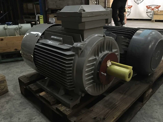 Eichenberger elektro ag elektromotor - afbeelding 1 van  7