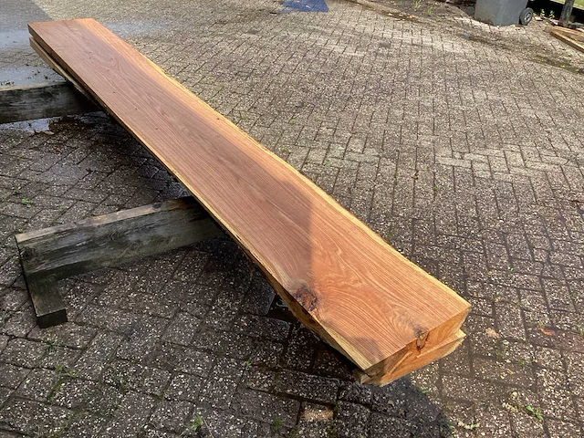 Eik amerikaans (2x) - afbeelding 5 van  7