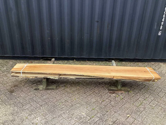 Eik amerikaans (2x) - afbeelding 2 van  8