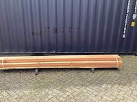 Eik amerikaans (5x) - afbeelding 2 van  8