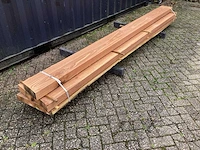 Eik amerikaans (5x) - afbeelding 3 van  8