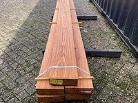 Eik amerikaans (5x) - afbeelding 8 van  8