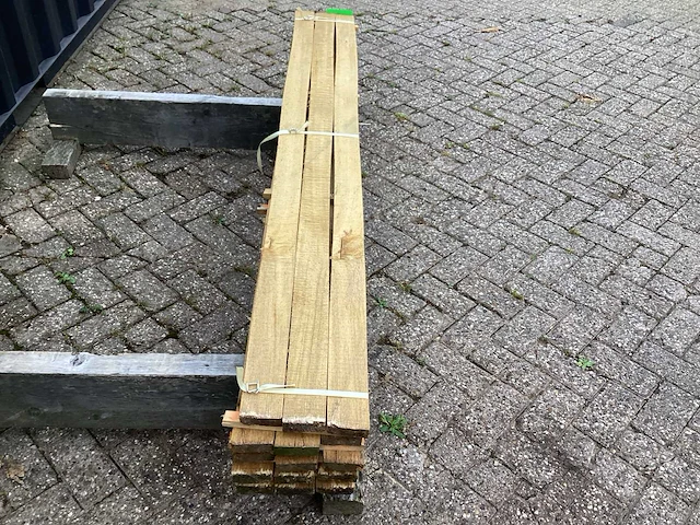Eik europees (15x) - afbeelding 4 van  8