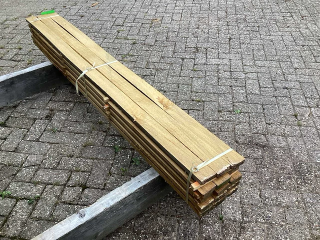 Eik europees (15x) - afbeelding 5 van  8
