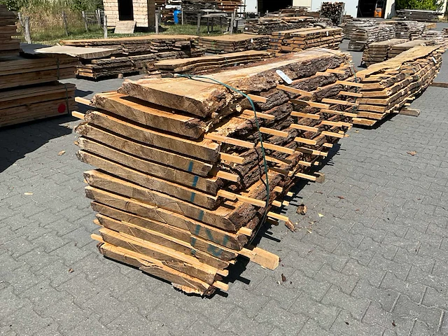 Eik europees schaaldelen ovengedroogd (11x) - afbeelding 1 van  6