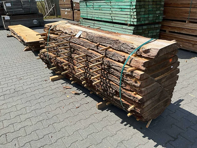 Eik europees schaaldelen ovengedroogd (11x) - afbeelding 4 van  6