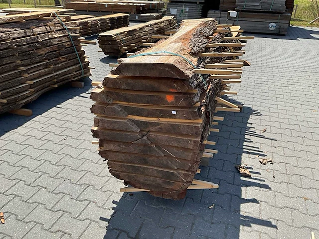 Eik europees schaaldelen ovengedroogd (11x) - afbeelding 5 van  6