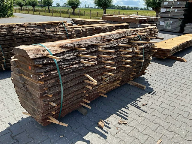Eik europees schaaldelen ovengedroogd (11x) - afbeelding 6 van  6