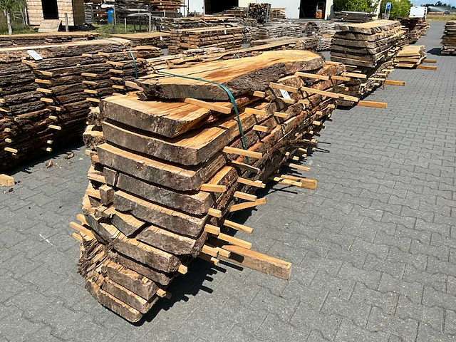 Eik europees schaaldelen ovengedroogd (12x) - afbeelding 1 van  6